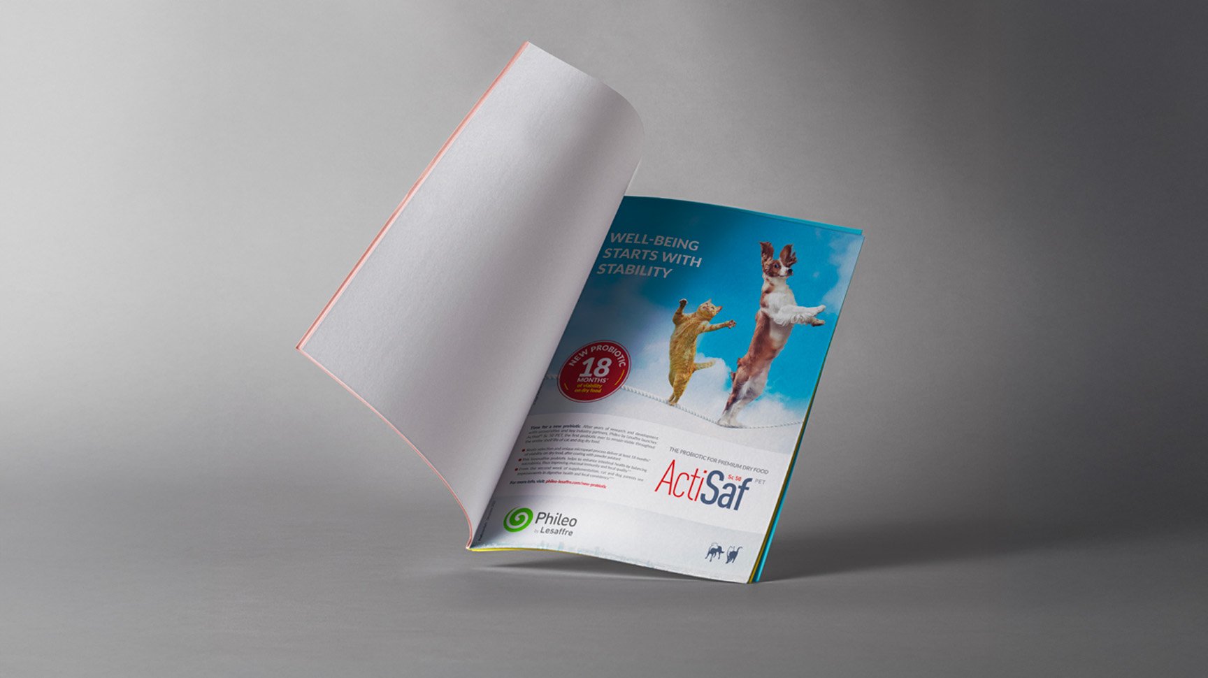 Phileo Lesaffre - Image 2