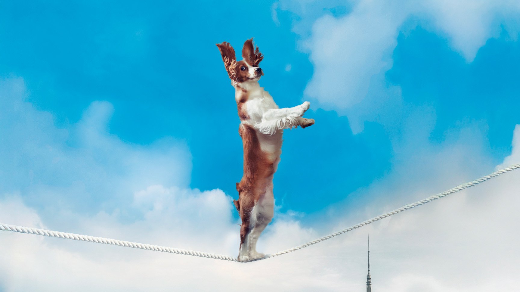 Phileo Lesaffre - Image 1