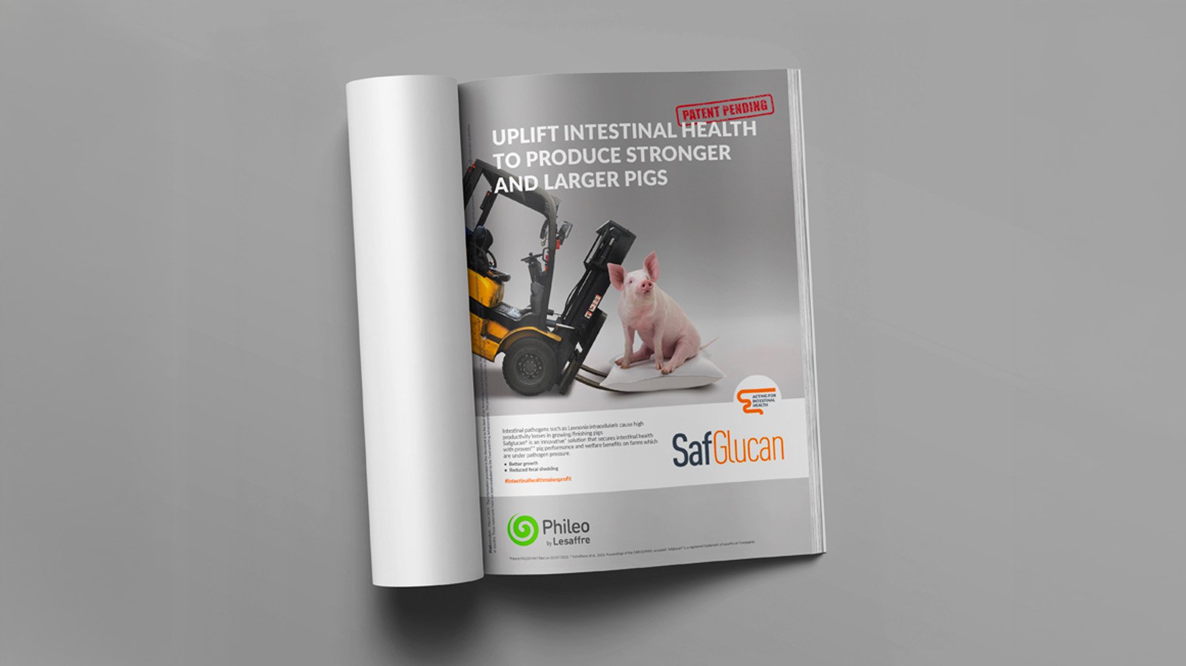 Phileo Lesaffre - Image 3